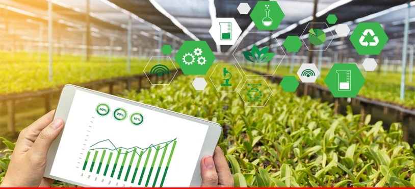 Punjab Strengthens Agriculture Market Reforms Through Digital Monitoring System