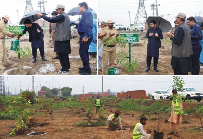 Plantation Drive Launched in Pattoki