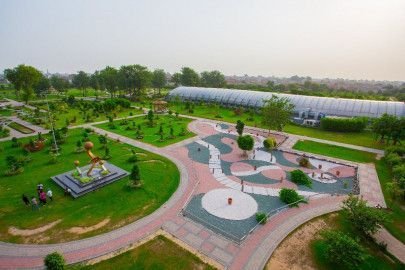Punjab Decides to Establish Biodiversity Corridors for Environmental Protection