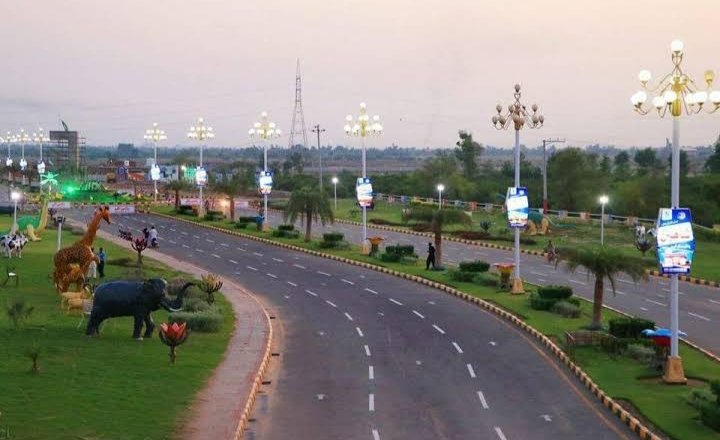 DC Sargodha Calls for Maximum Tree Plantation on Vacant Lands in the City