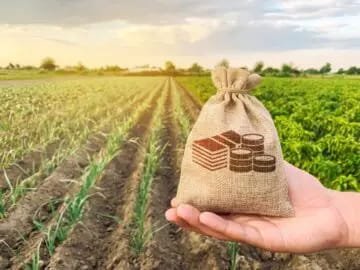 Agricultural Land in Pakistan Attracts Growing Investor Attention as Alternative Trends Emerge in Urban Real Estate