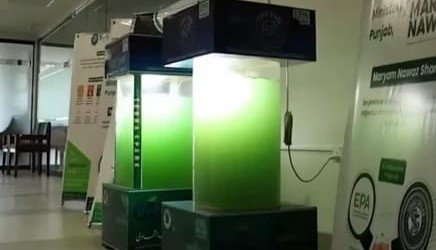 Pakistan’s First “Liquid Tree” to Arrive in Lahore to Help Reduce Air Pollution, To Be Installed at Major Malls, Plazas and Commercial Areas